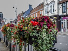 Farnham in Bloom 2026